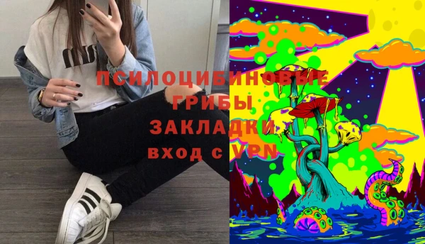 мяу мяу мука Фёдоровский