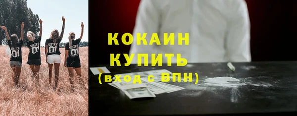 мяу мяу мука Новозыбков