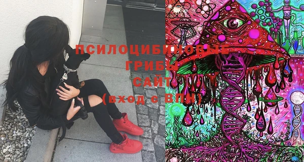 MESCALINE Новокубанск