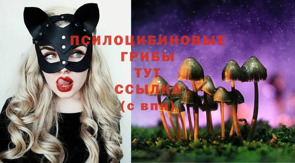 первитин Майский