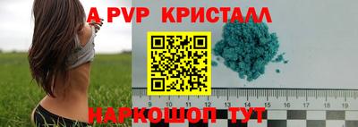 крисы Рязань