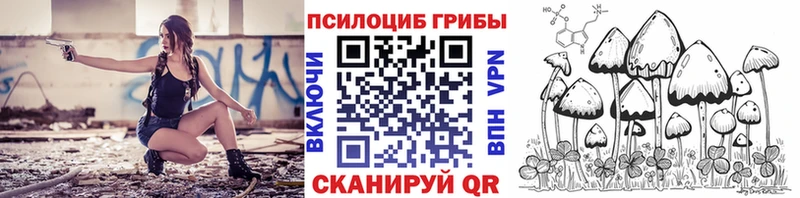 что такое   Хабаровск  Галлюциногенные грибы ЛСД 